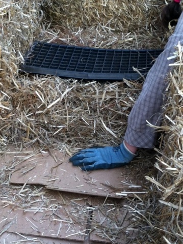 Straw mulch layer
