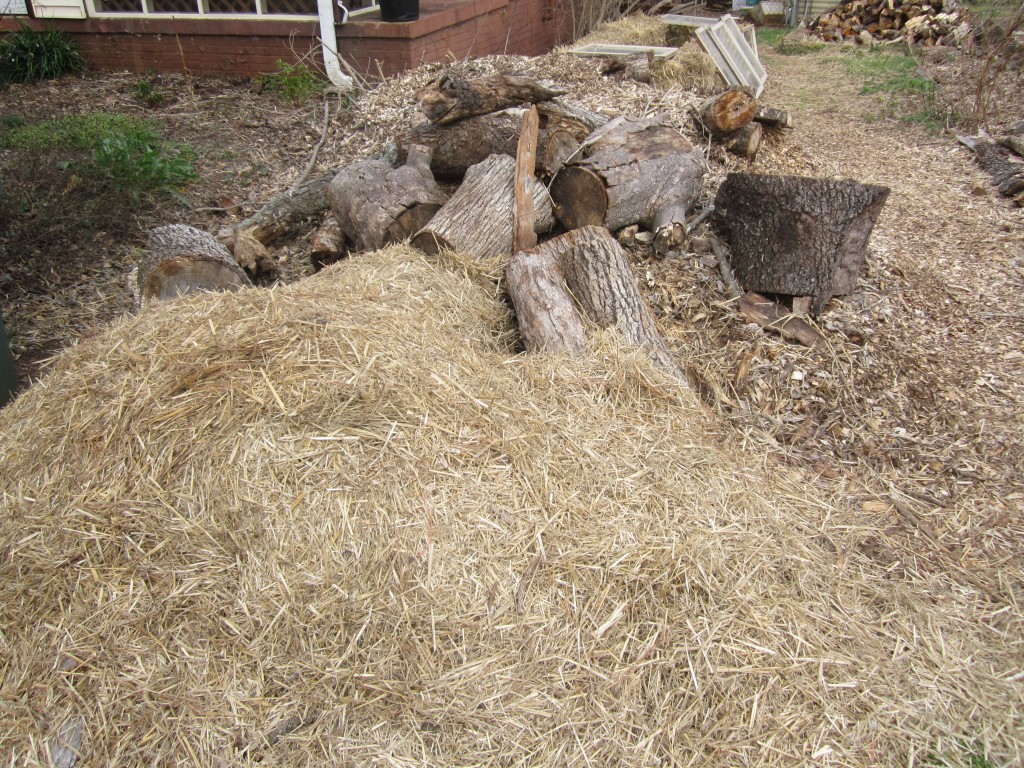 Photo caption: These piles of straw, wood, and wood mulch, were all "free" in that we did not personally spend money on them.  We'll use them for a variety of things, like mulching beds, building boarders, and filling parts of our chicken run.