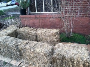 Building the cold frame