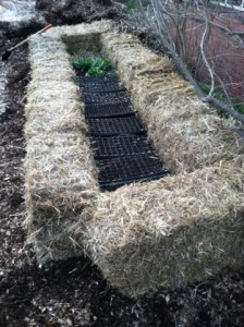 Filled cold frame