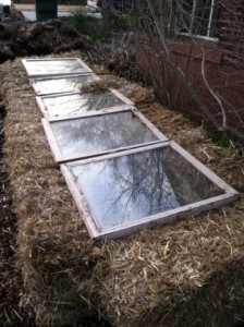 Finished cold frame