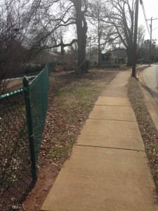 Photo Caption: The non-shaded strip of land near the other driveway entrance would also be a good spot for wildflowers.